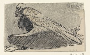 Sitzender Geier von Jan van Essen