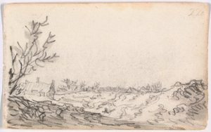 Eine Dünenlandschaft