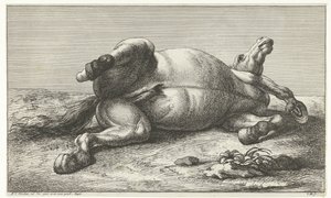 Gefallenes Pferd auf der linken Seite liegend von Jan van Huchtenburg