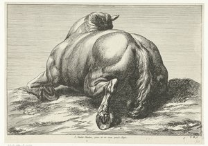 Gefallenes Pferd auf dem Rücken von hinten gesehen von Jan van Huchtenburg