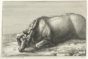 Gefallenes Pferd auf der linken Seite gesehen