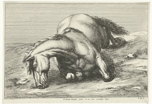 Gesneuveltes Pferd auf der rechten Seite liegend von Jan van Huchtenburg