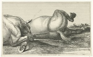 Zwei hintereinander liegende gefallene Pferde von Jan van Huchtenburg