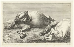 Zwei gefallene Pferde, von denen das rechte von der Seite gesehen wird von Jan van Huchtenburg