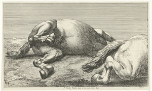 Zwei gefallene Pferde, von denen das rechte von der Seite gesehen wird von Jan van Huchtenburg