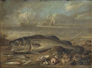 Fische und Meereslandschaft von Jan van Kessel the Elder