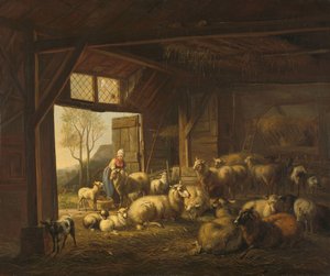 Schafe und Ziegen in einem Stall
