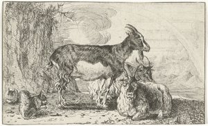 Ziegen von Jan van den Hecke