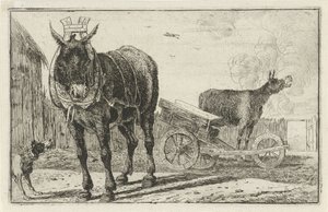 Zwei Esel von Jan van den Hecke