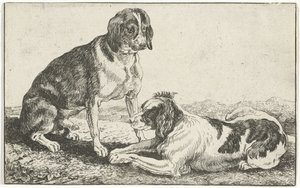 Zwei ruhende Hunde von Jan van den Hecke