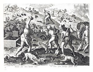 Ausgraben und Fangen von Dachsen, Illustration aus 