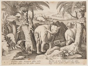Höhlenmenschen jagen Elefanten, Tafel 3 aus der Serie Venationes Ferarum, Avium, Piscium