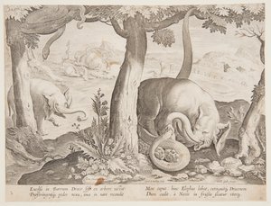 Kampf zwischen Elefanten und Schlangen, Platte 2 aus der Serie Venationes Ferarum, Avium, Piscium von Jan van der Straet, called Stradanus