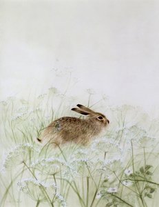 Kaninchen von Jane Neville
