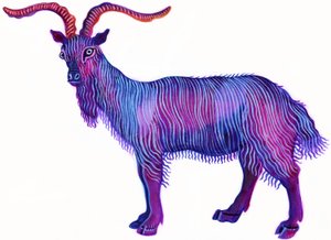 Ziege Steinbock von Jane Tattersfield