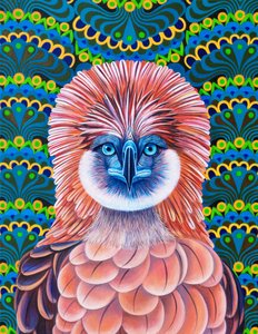 Philippinenadler von Jane Tattersfield
