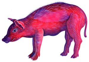 Schwein