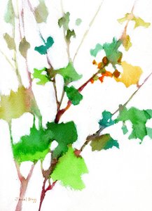 Botanisch aus dem Innenhof von Janel Bragg