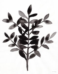 Botanisch mit Nagi Farn III