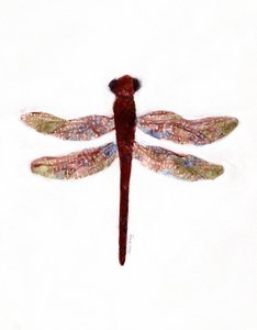 Libelle auf Creekside Lane, um 2019 von Janel Bragg