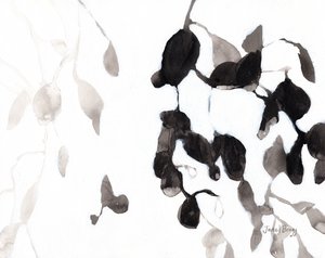 Blätter in Schwarz und Weiß