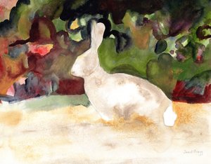 Kaninchen, das wir auf unserem Spaziergang sahen, ca. 2016 von Janel Bragg