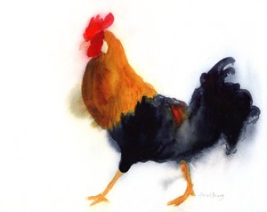 Hahn auf Kauai im Lydgate Park, ca. 2019 von Janel Bragg