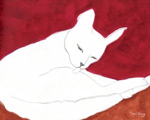 Weiße Katze mit Rotbraun und Rose