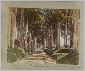 Imaichi-Straße, Nikko, Japan