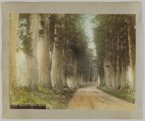 Imaichi-Straße, Nikko, Japan (handkoloriertes s/w Foto)