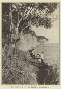 Die weißen und bewaldeten Klippen der Mississippi-Bucht von Japanese Photographer