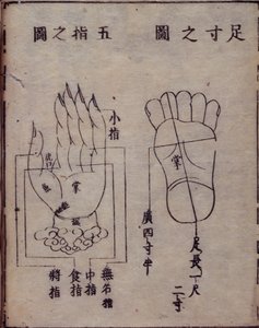 Diagramm der Akupunkturpunkte in Händen und Füßen, aus einem japanischen Kommentar zu einem chinesischen Werk über Akupunktur, dem Shisijing fahui von 1341 von Hua Shou, Kyoto