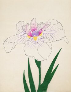 Akashi-no.-Ul, Nr. 10, 1898