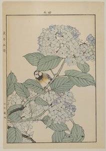 Vogel mit Hortensie, Meiji-Periode, ca. 1868-1912