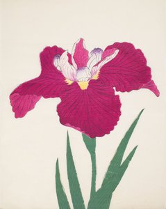 Date-Dogu, Nr. 2, 1890