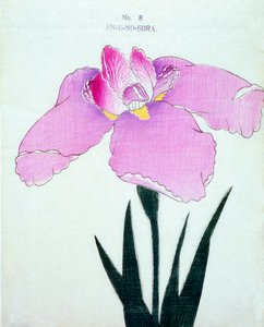 En-U-no.-Sora, Nr. 8, 1898