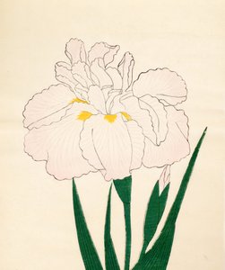 En-Yo-No-Ten, Nr. 73, 1890