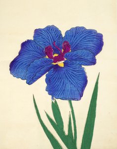 Gosetsu-no.-Mai, Nr. 9, 1898