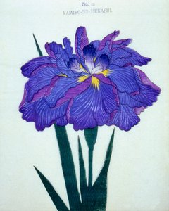 Kamiyo-no.-Mukashi, Nr. 16, 1898
