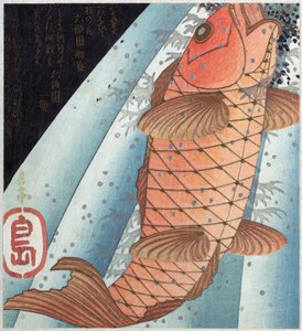 Koi-Karpfen; veröffentlicht ca. 1820