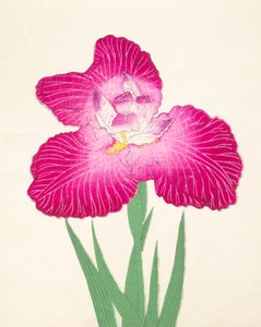 Kyo-Kano.ko, Nr. 24, 1898