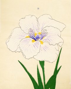 Manu-Zuru, Nr. 28, 1890