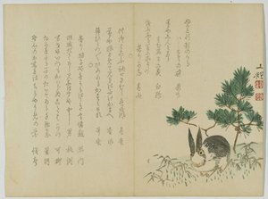 Kaninchen unter Neujahrskiefer, ca. 1860 von Japanese School