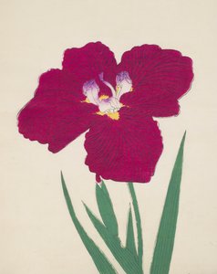 Tai-Hei-Raku, Nr. 18, 1890