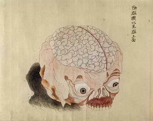 Die Anatomie des Gehirns aus der Dissektion eines Folteropfers von 1796, aus einem Makimono eines Midori-Arztes, 1842 von Japanese School