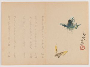 Zwei Schmetterlinge, ca. 1860 von Japanese School