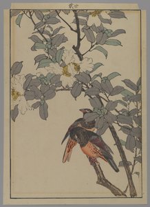 Zwei Vögel mit weißen Blumen, Meiji-Periode, 1892 von Japanese School