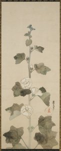 Weiße Stockrosen, Edo-Zeit, 1615-1868 von Japanese School