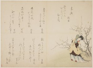 Frau in chinesischer Hoftracht, um 1830-44 von Japanese School