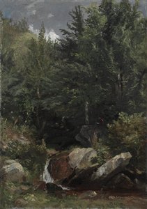 Bäume und ein Bach an einem Hang